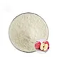 Apple Stem cell